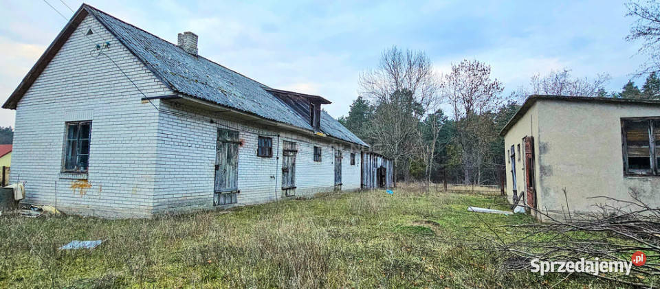 Siedlisko Wisłą na sprzedaż siedliskowa Janowiec