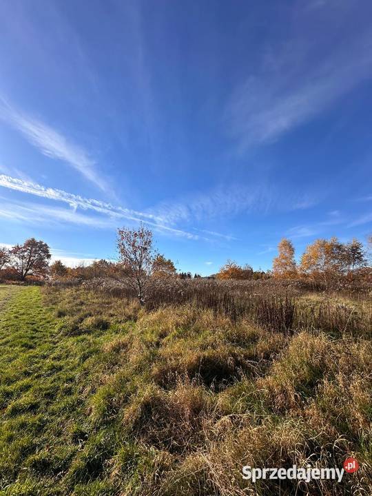 Działka budowlana kolorowe jeziorka 40zł/m2 lubuskie Chełmica