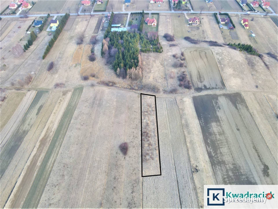 Działka Pobiedno 1028m2 Sprzedaż Nieruchomości