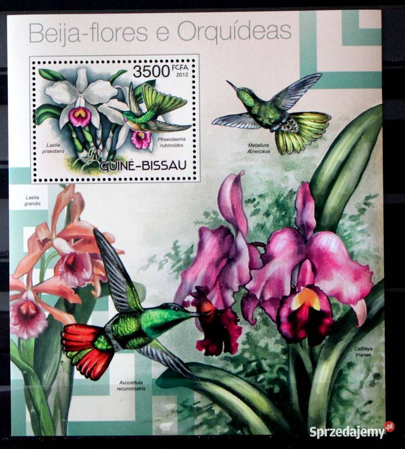 Gwinea Bissau 2012 r Bl storczyk wielkopolskie Oborniki sprzedam