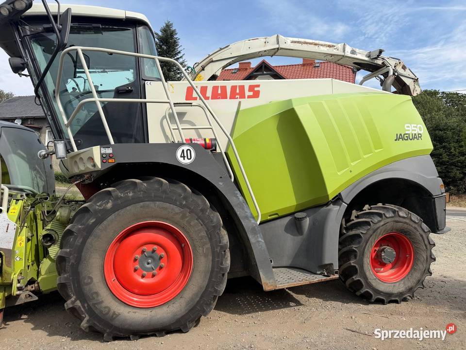 Sieczkarnia do kukurydzy Claas Jaguar 950 w