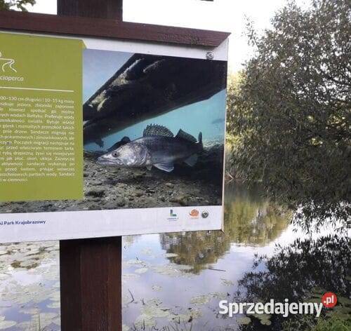 Działka rekreacyjna 5 jezior Lasy Mazury mazowieckie Warszawa