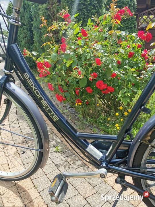 Rower Saksonete z silnikiem Sachs Głogów