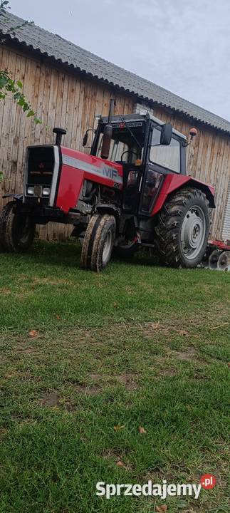 Massey Ferguson 595 Izbica