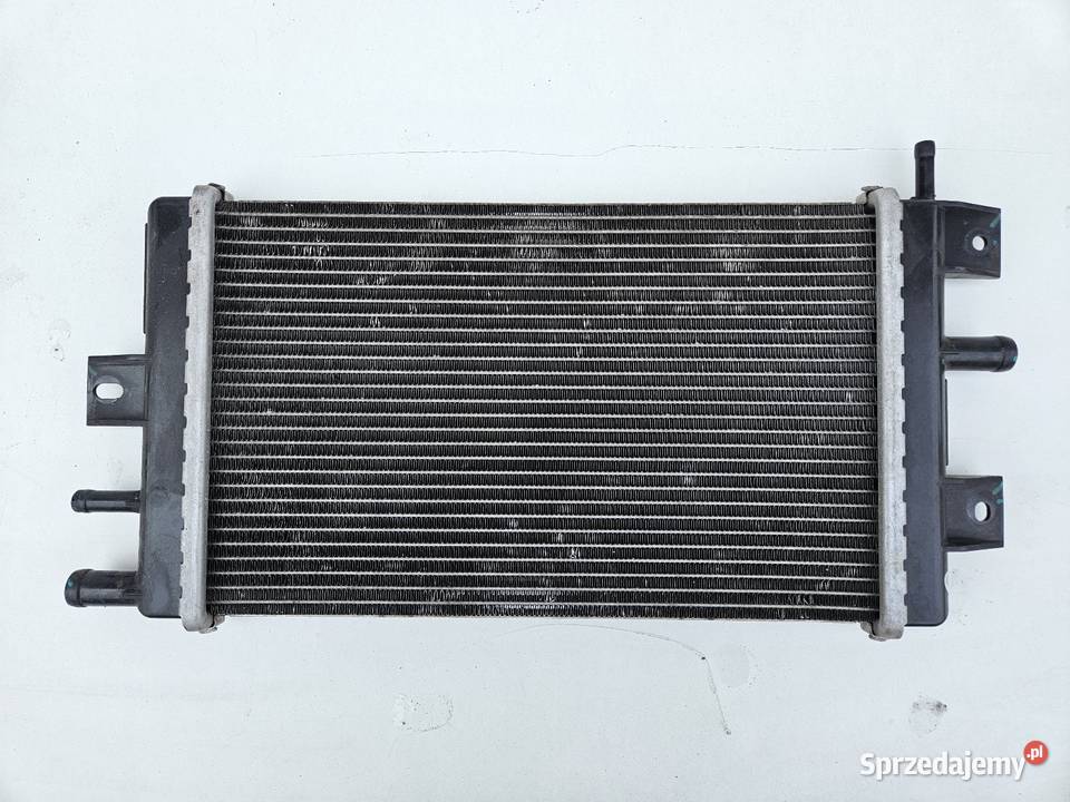 DACIA SPRING CHŁODNICA WODY 1301041BBG Międzychód