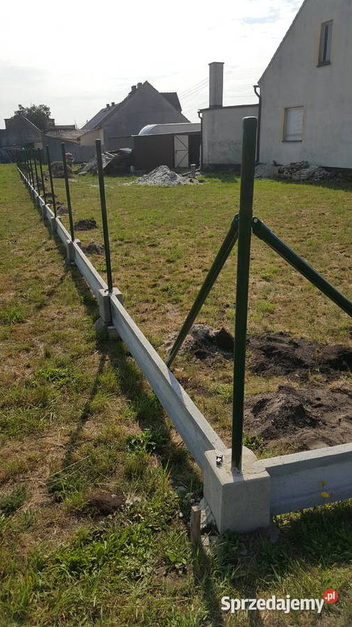 Siatka ogrodzeniowa I Siatka ocynk I 16 15m wys Gliwice