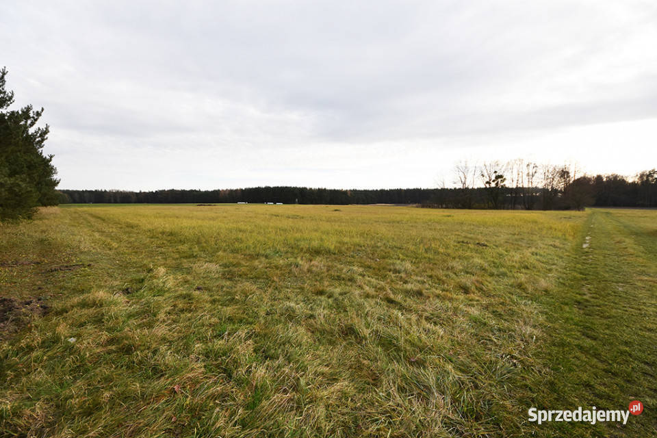 Malownicza działka 122 ha lesie Radawie polna