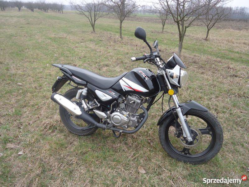 Barton FNX 125 125cm3 Stryków