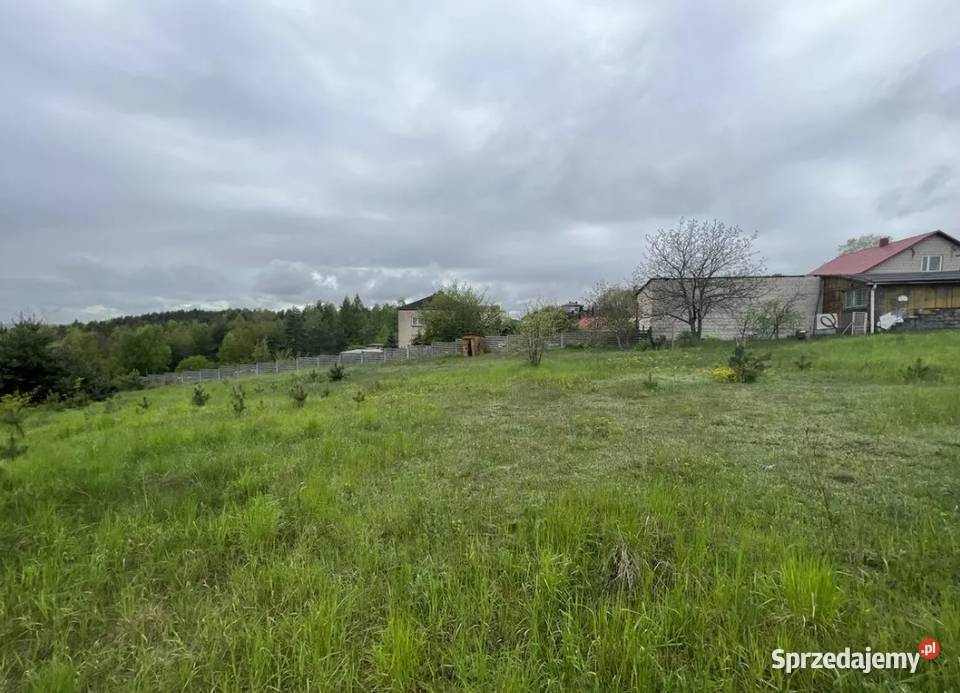 Syndyk sprzeda udział 13 w nieruchomosci w Wolbrom