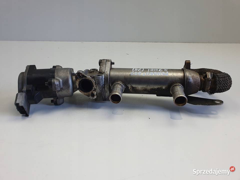 Peugeot 607 27 HDI ZAWÓR ERG chłodnica spalin osobowe Rudka