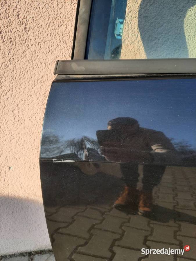 Renault scenic 2 przednie drzwi lewe kolor osobowe Gniezno