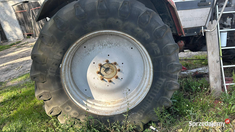 Massey Ferguson 3690 koło kompletne tylne 42 Pozostałe Jastrzębniki