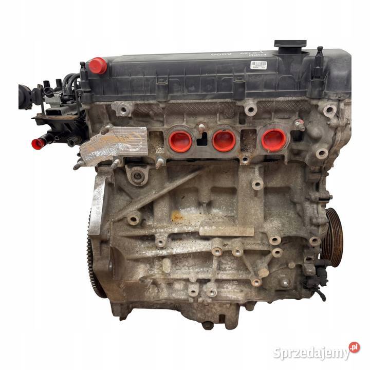 SILNIK AODA Ford Focus II MK2 C 20 16V 145 SYDA Chełm sprzedam