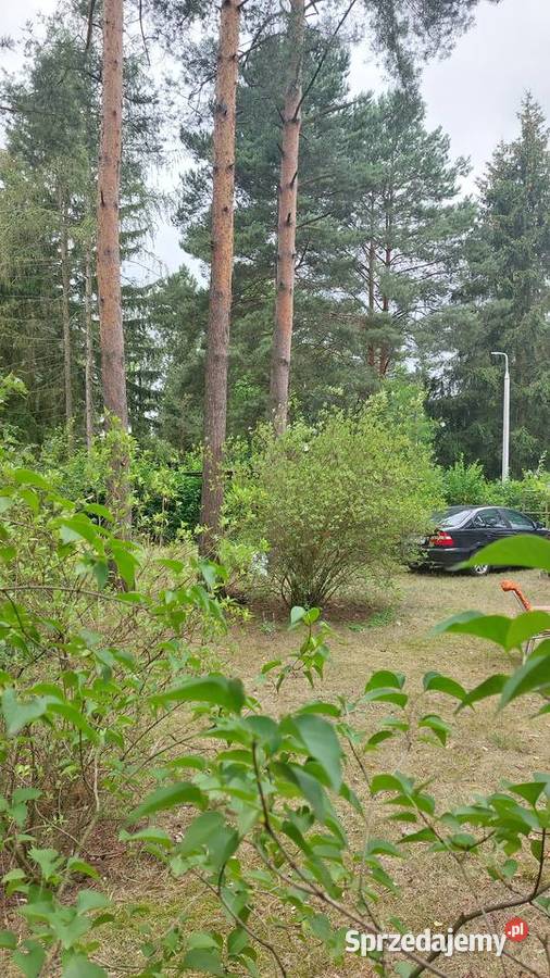Sprzedam działkę z domkiem letniskowym Goławice Pierwsze