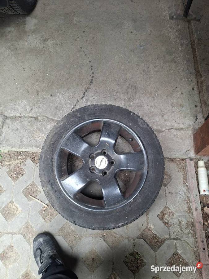 5x100 15 alufelgi Opony i felgi Besko