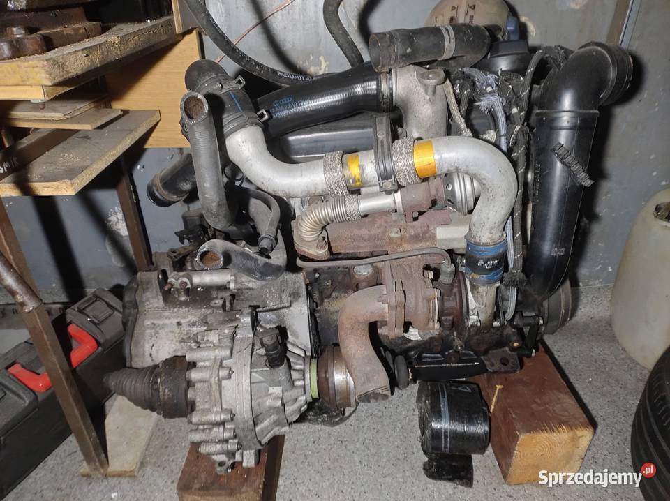 19 tdi 1z 90 koni Silniki kompletne Pszów