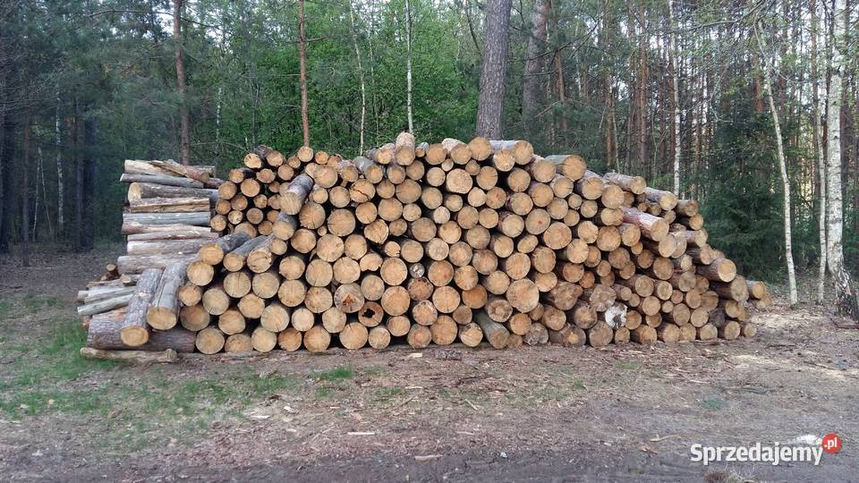 Drewno opałowe opał Sosna w grubych wałkach Łosice