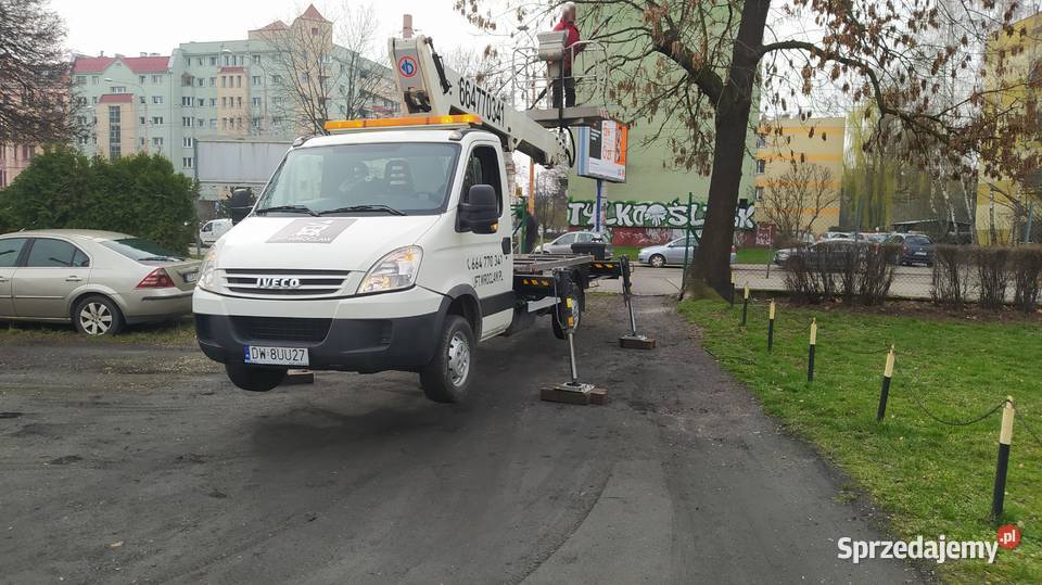 Wycinka pielęgnacja drzew ściąganie jemioły dolnośląskie usługi budowlane