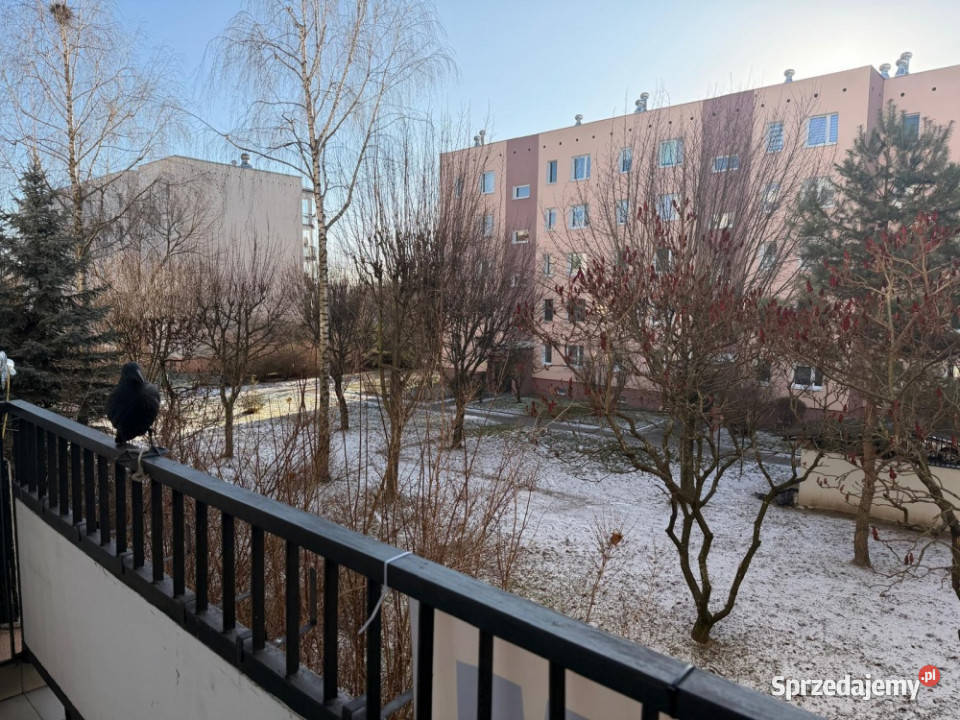 MIESZKANIE Z DUSZĄ I EGZOTYKĄ PAPIRUSU SERCE