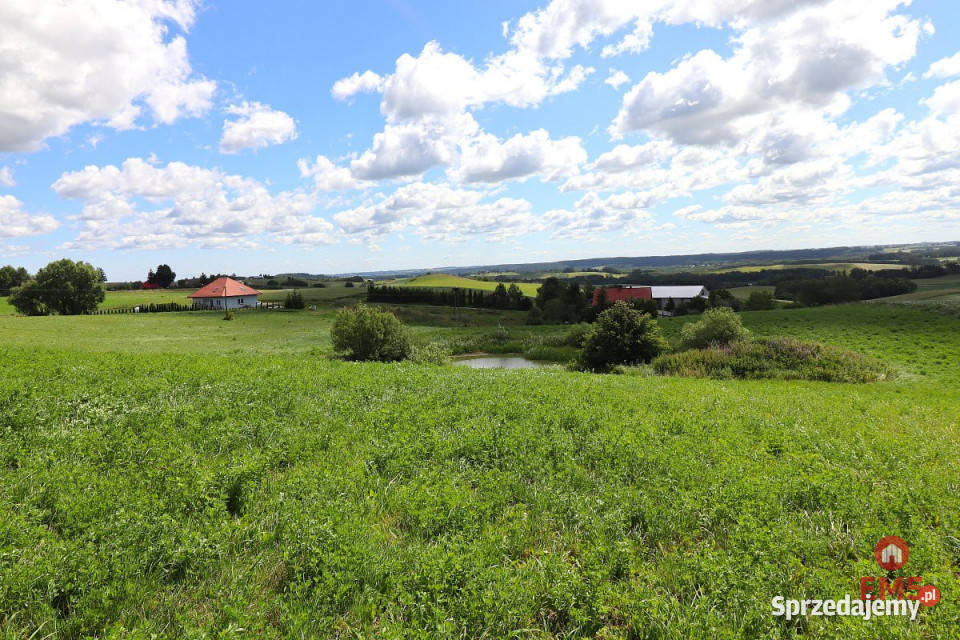 sprzedaży gruntu 4800m2 Olszanka