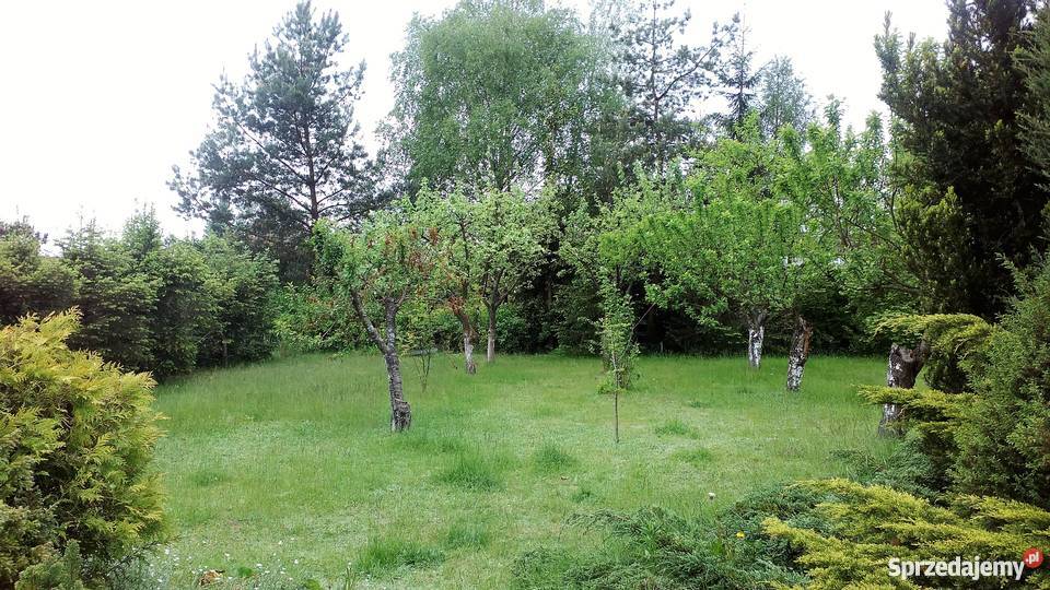 Sprzedam działkę rekreacyjną z domkiem SEMAFOR wielkopolskie Szczodrochowo
