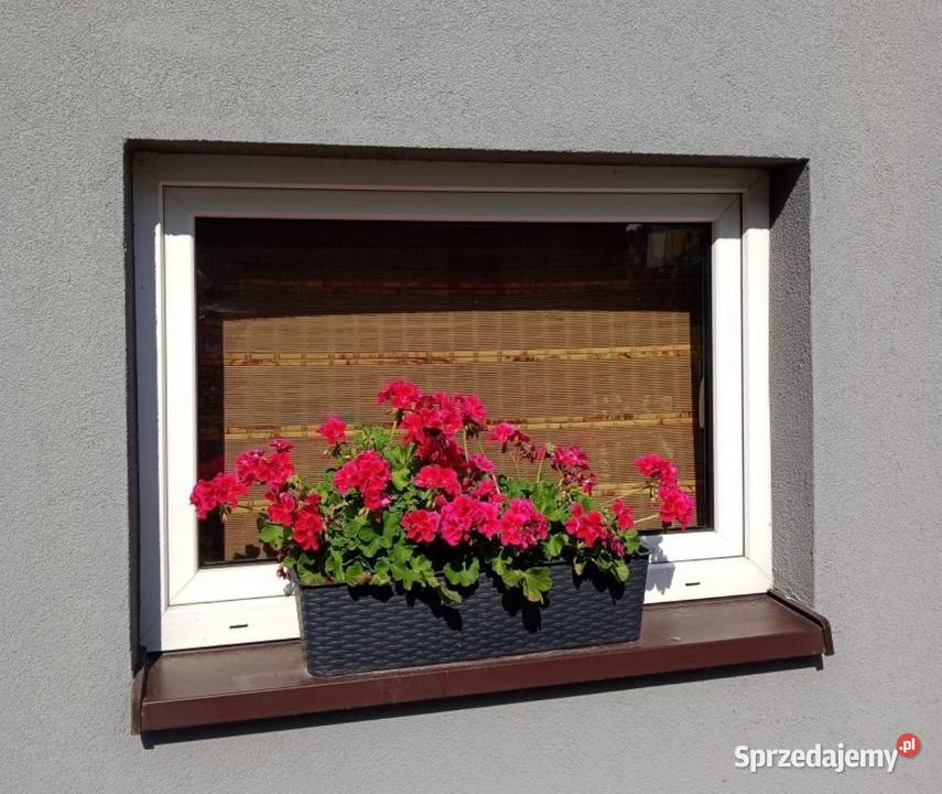 Okna 115x80wys Witkowice