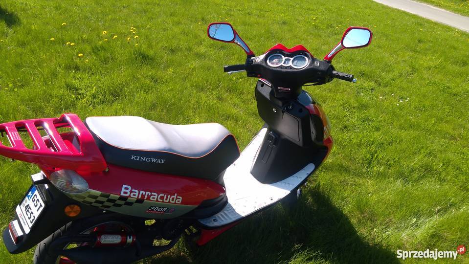 KINGWAY BARRACUDA 50 Nowy Starogard Gdański