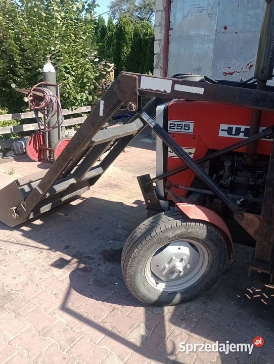 Massey Ferguson 255 lubelskie Łęczna