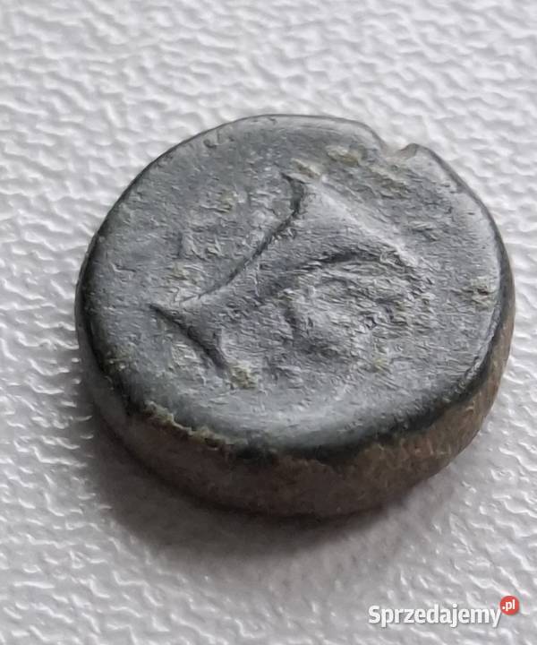 Moneta antyczna Grecja Aeolis Kyme 350250 BC pomorskie sprzedam