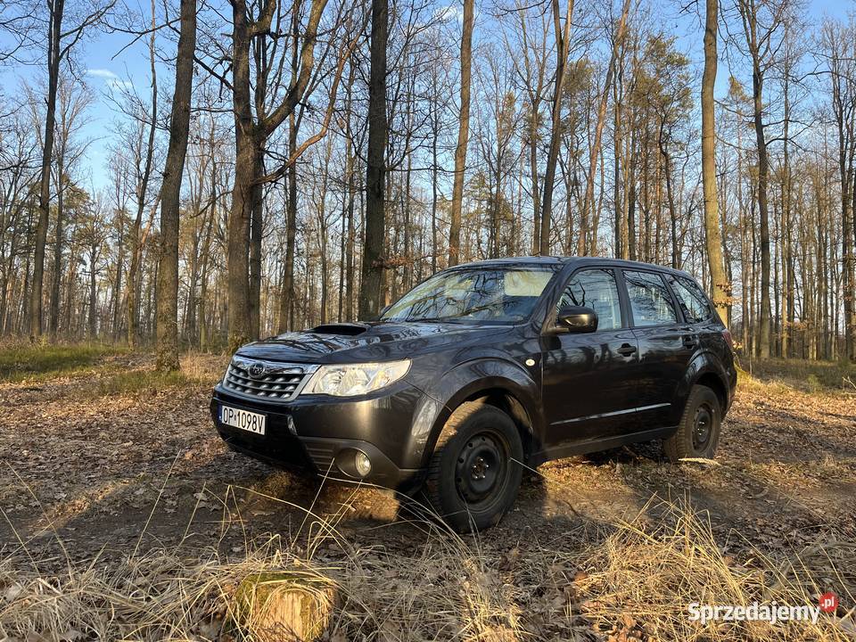 Subaru Forester mały przebieg Samochody osobowe Opole sprzedam