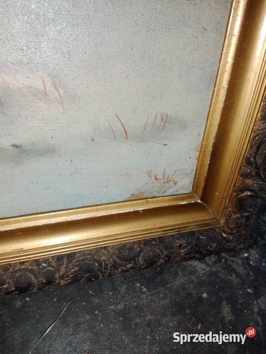 Obrazy na płótnie sprzedam
