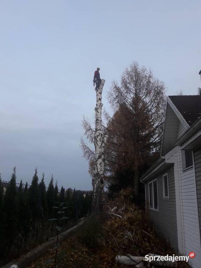 Usługi Ogrodnicze prace ogrodowe