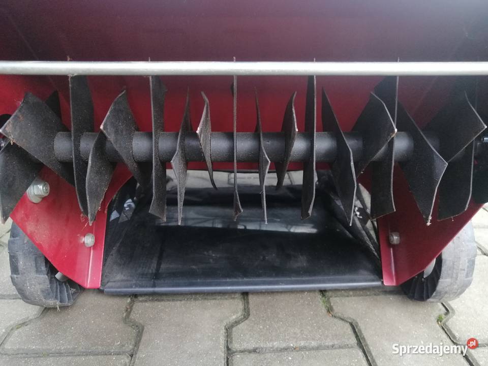 WERTYKULATOR SPALINOWY EINHELL GCSC 2240 P wielkopolskie Wyrzeka