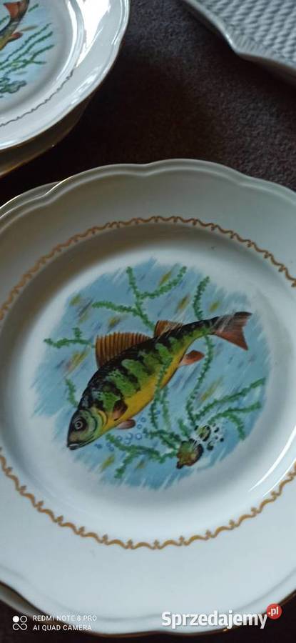 Serwis do serwowania ryb S F P France
Societye Porcelana i szkło Gdańsk