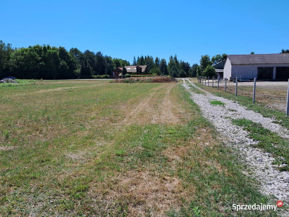 SPRZEDAM DZIAŁKI Sprzedaż sprzedam