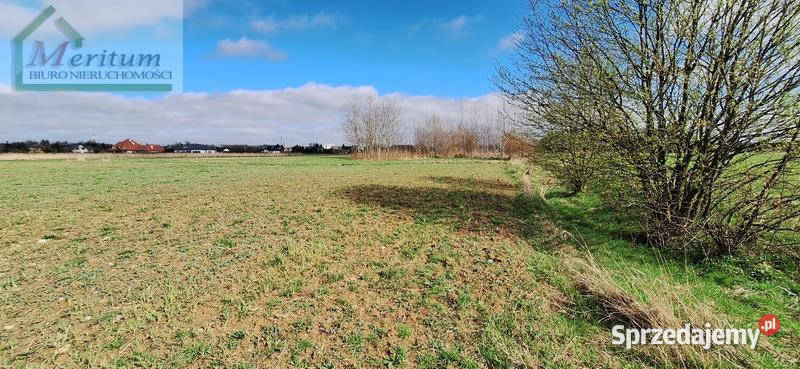 Działka 5244m2 Jedlicze budowlana Nieruchomości