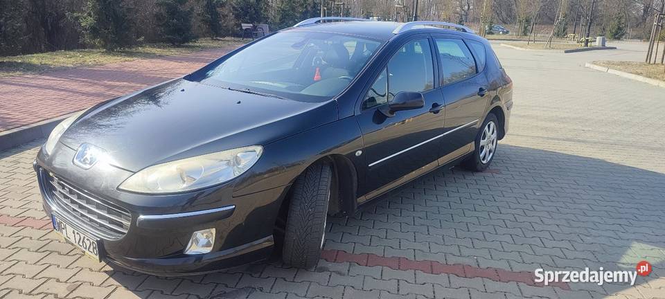 Peugeot 407 SW 20 HDI Rogozino
