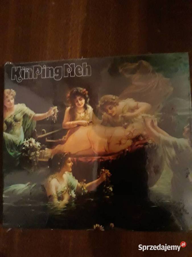 KIN PING MEH King Ping Meh niemiecki rock Płyty i kasety Rzeszów