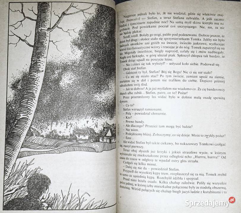 Ślady rysich pazurów Wanda Żółkiewska Rok wydania 1989 Pozostałe Chełm