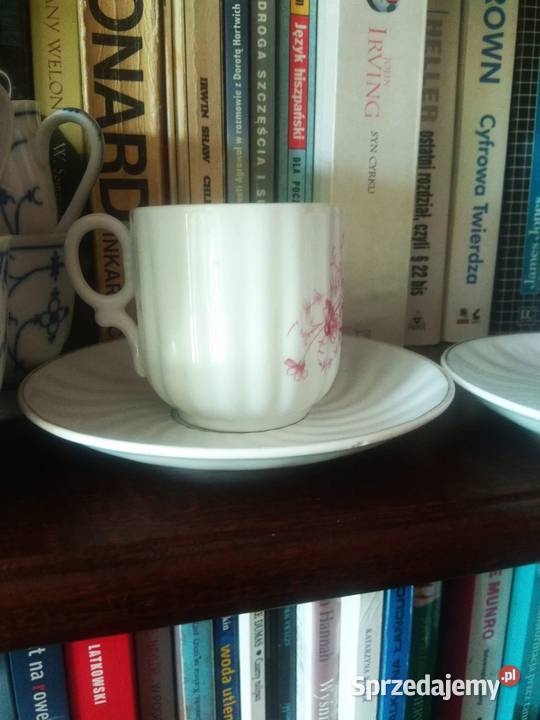 Filiżanka Carl Tielsch Altwasser Gdańsk