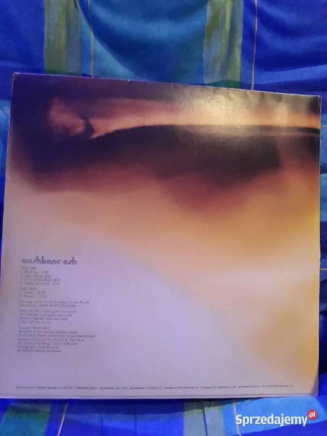 Archiwalne wykopalisk rocka WISHBONE ASH 2LP Rzeszów