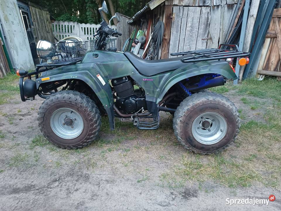 Quad Logan ST 250 nieuszkodzony Pyzdry