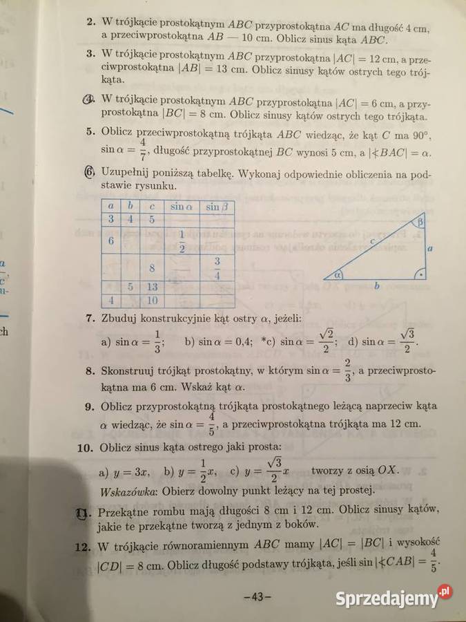 I ty zostaniesz PitagorasemWi S Leski miękka Lublin