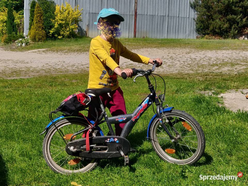 Rower dziecięcy 18 PINNIPED 3 BIEGI Nexus Dynamo Wólka Brzózka sprzedam