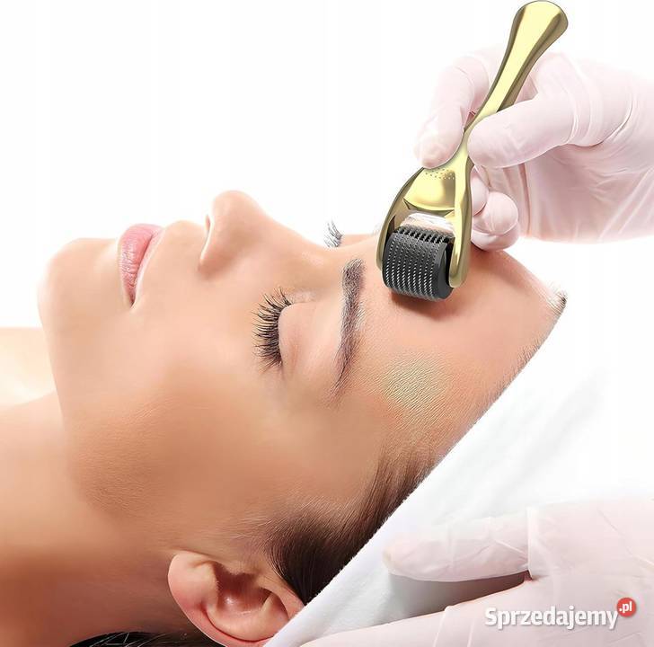 ROLLER DO TWARZY MASAŻER MEZOTERAPIA IGŁY 3W1 DO Sosnowiec