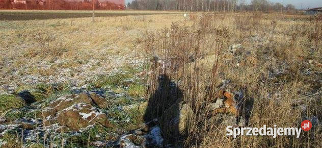 Działka rolna 129a Boguchwała podkarpackie