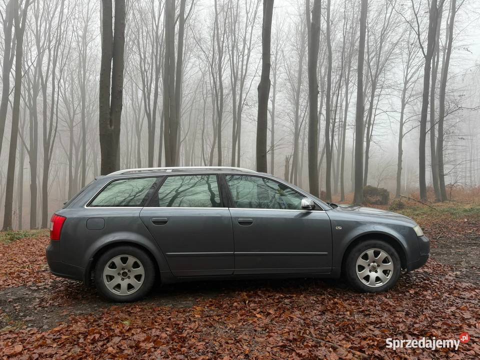 Audi A4 B6 Quattro Avant 19TDI Zator