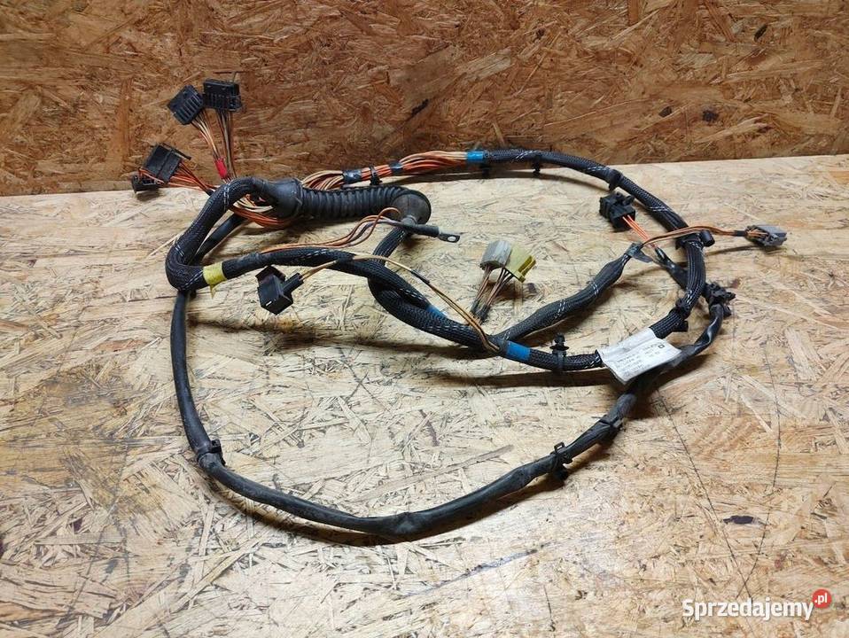 Wiązka Instalacja Drzwi Lewe Renault Magnum DXi Pleszew sprzedam