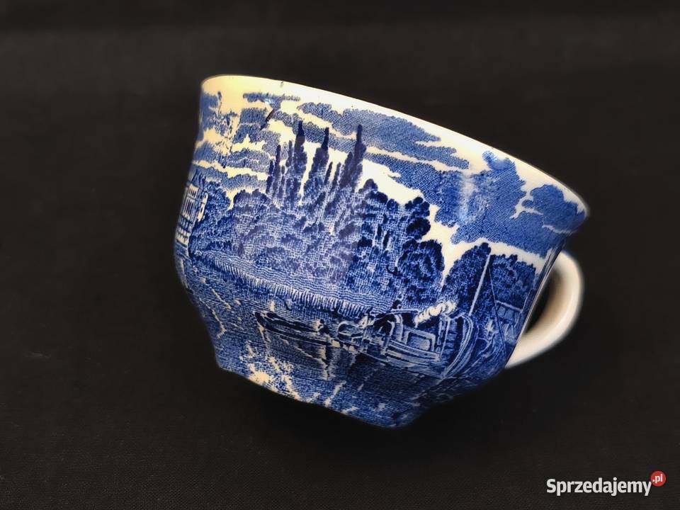 Filiżanka angielska Palissy Chełm