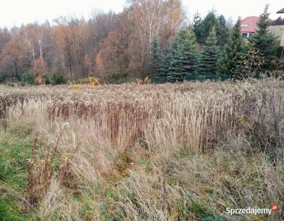 Działka budowlana w Rzeszowie Leśne Wzgórze Grunty i działki Rzeszów